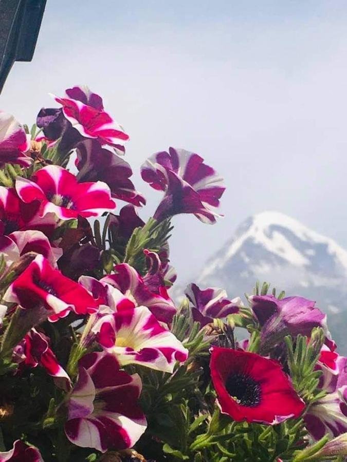 Guest House Elguja Qushashvili คัซเบกี ภายนอก รูปภาพ