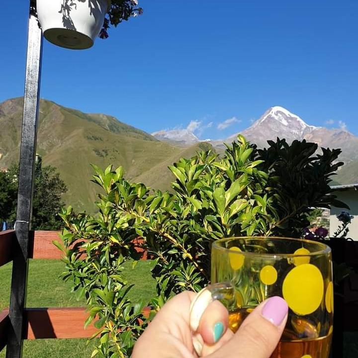 Guest House Elguja Qushashvili คัซเบกี ภายนอก รูปภาพ