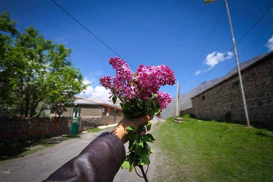 Guest House Elguja Qushashvili คัซเบกี ภายนอก รูปภาพ