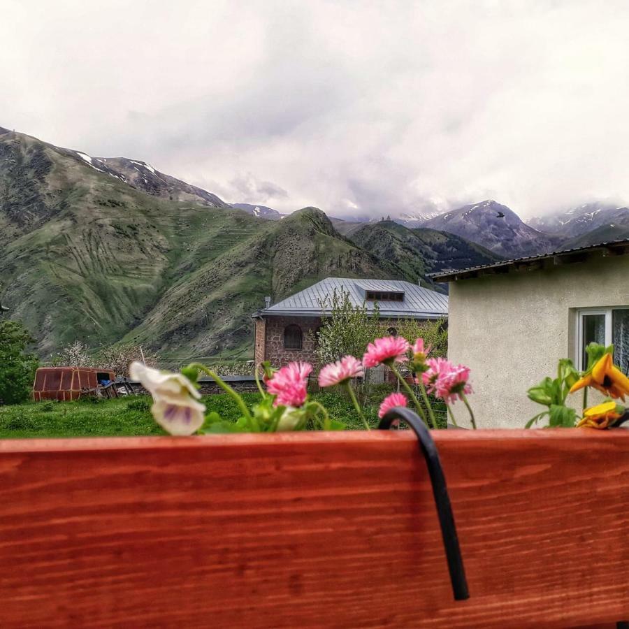 Guest House Elguja Qushashvili คัซเบกี ภายนอก รูปภาพ